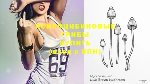 ПСИЛОЦИБИНОВЫЕ ГРИБЫ Белоозёрский
