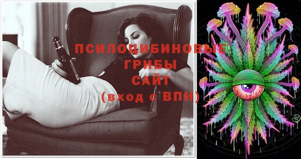 Альфа ПВП Беломорск