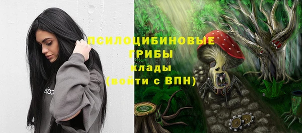 ПСИЛОЦИБИНОВЫЕ ГРИБЫ Белоозёрский