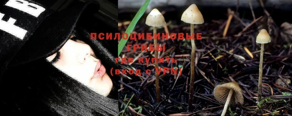 Альфа ПВП Беломорск
