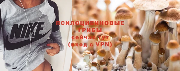 ПСИЛОЦИБИНОВЫЕ ГРИБЫ Белоозёрский