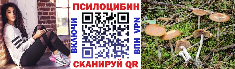 Псилоцибиновые грибы Magic Shrooms  мега tor  Верещагино 